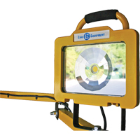 Heavy-Duty Dock Light, 40" Arm, 38 W, LED Lamp, Metal Rideout Tool & Machine Inc.