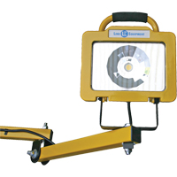 Heavy-Duty Dock Light, 40" Arm, 38 W, LED Lamp, Metal Rideout Tool & Machine Inc.