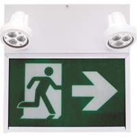 Running Man Exit Sign, LED, Battery Operated/Hardwired, 12" L x 12 1/2" W, Pictogram XE664 | Rideout Tool & Machine Inc.