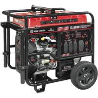 V-Twin Gasoline Generator, 15000 W Surge, 12500 W Rated, 120 V/240 V, 40 L Tank XH198 | Rideout Tool & Machine Inc.