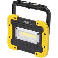 Portable Work Light, LED, 10 W, 1000 Lumens, Plastic Housing Rideout Tool & Machine Inc.