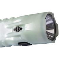 Lampe de poche, DEL, 378 lumens, Piles AA Rideout Tool & Machine Inc.