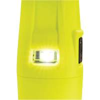 Lampe de poche VLO, DEL, 280 lumens, Piles AA Rideout Tool & Machine Inc.