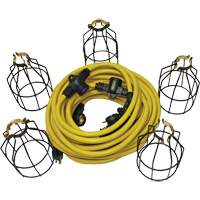 LED String Lights with Connector, 5 Lights, 50' L, Metal Housing XI324 | Rideout Tool & Machine Inc.