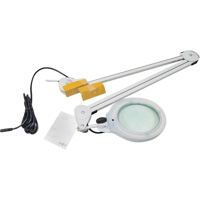 Lampe grossissante, Dioptrie 3, Ampoule DEL, Bras de 45", Pinces serre-joints, Gris Rideout Tool & Machine Inc.