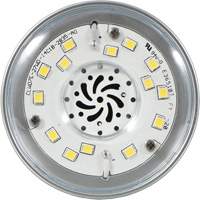 Ultra LED™ High Lumen Lamp, HID, 27 W, 3600 Lumens, Medium Base XI553 | Rideout Tool & Machine Inc.