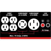 G&eacute;n&eacute;ratrice &agrave; essence/propane &agrave; d&eacute;marreur &eacute;lectrique Rideout Tool & Machine Inc.