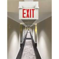 Exit Sign with Security Lights, LED, Battery Operated/Hardwired, 12-1/10" L x 11" W, English XI789 | Rideout Tool & Machine Inc.