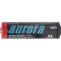 Alkaline Batteries, AA, 1.5 V XI879 | Rideout Tool & Machine Inc.