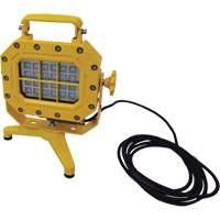 Explosion Proof Floodlight with Stand, LED, 40 W, 5600 Lumens, Aluminum Housing XJ040 | Rideout Tool & Machine Inc.