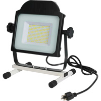 Projecteur, DEL, 100 W, 10000 lumens Rideout Tool & Machine Inc.