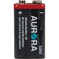 Industrial Alkaline Batteries, 9 V XJ222 | Rideout Tool & Machine Inc.