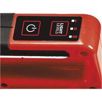 Lampe de travail &agrave; DEL hybride 18V (outil seulement), DEL, 2000 lumens Rideout Tool & Machine Inc.